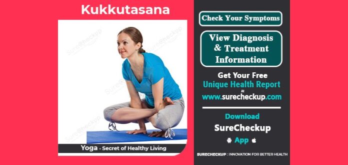 39-how-to-do-kukkutasana-precautions-39